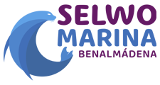 Selwo Marina