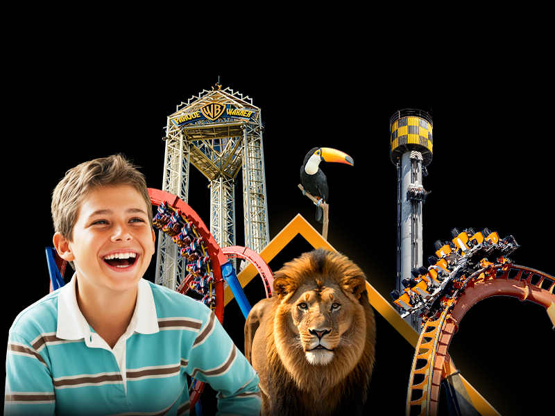 Bono Parques Black Friday