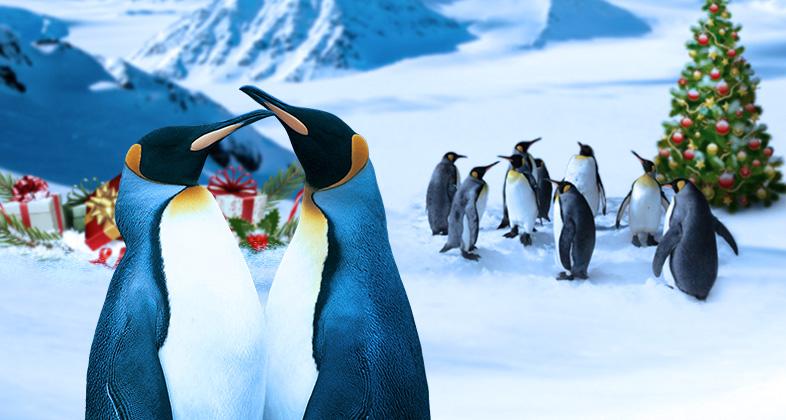 Penguins