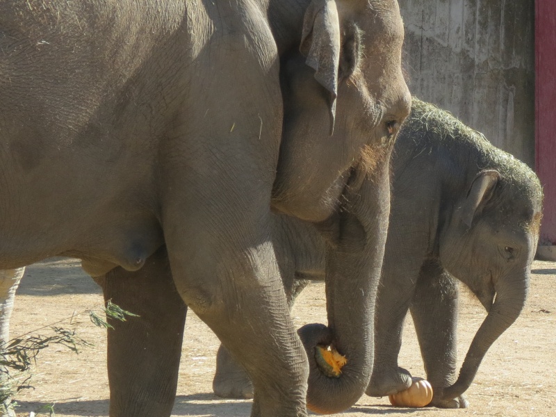 Zoo